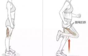 跑步前热身运动,慢跑跑步前怎样热身才不伤膝盖？