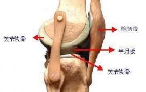 膝盖响是什么原因,膝关节活动有响声是怎么回事？