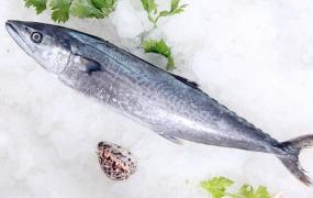 冷冻金枪鱼,冷冻金枪鱼的做法有哪些？