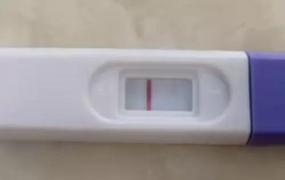 测孕试纸,早孕试纸测试怀孕的结果准吗？