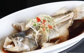 海鲈鱼和淡水鲈鱼的区别,淡水鲈鱼和海鲈鱼哪个好吃？