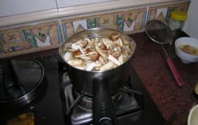 茶树菇汤做法大全