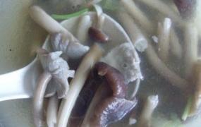茶树菇肉片汤做法大全