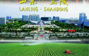 兰陵为什么改名枣庄,中国改名最失败的城市有哪些？