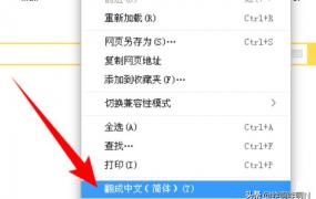 如何翻译网页,怎么把英文网站翻译成中文网站？
