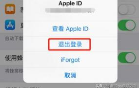 退出登录,怎样退出登录Apple ID？