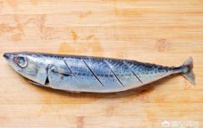 什么是深海鱼,常见可食用的深海鱼都有哪些？