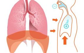 肺容量和肺总量的区别,什么样的运动最有利于健肺？