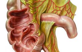 阑尾炎初期症状,胰腺炎的早期症状有哪些？
