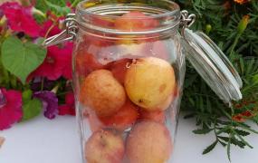 自制水果罐头,自制水果罐头的特殊方法？