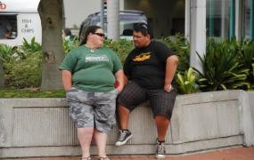胖子与瘦子存在的差距 已经不止是好不好看的问题