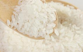 大米生虫的处理方法-预防大米生虫的方法