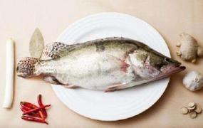 不同种类的鱼该如何烹调？