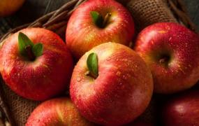 熟苹果治疗腹泻需要注意苹果熟度 熟苹果的营养价值