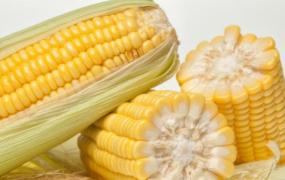 煮玉米的时候加点它 营养美味还能减肥
