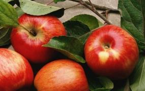 尿酸最怕的九种水果 对于尿酸高尤其适合食用
