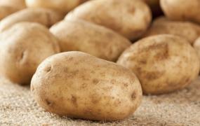 土豆怎么做好吃 土豆怎么做更好吃