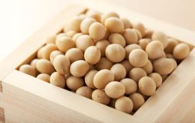 基因编辑大豆丰产，基因编辑大豆是转基因大豆吗？