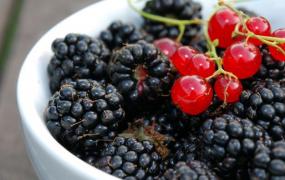 鳄梨和黑莓健康大PK 五大健康益处养生又保健