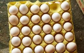 土鸡蛋是否更有营养 当心那些化妆的土鸡蛋
