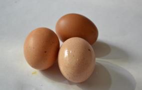 吃鸡蛋需要适当注意细节 煮鸡蛋别过火最有营养