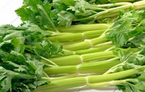 芹菜是不是天然的降压菜 芹菜的功效分析与食谱推荐
