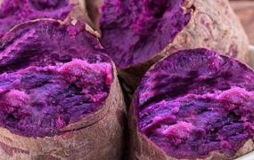 不同颜色薯的区别 紫肉甘薯为花青素大王