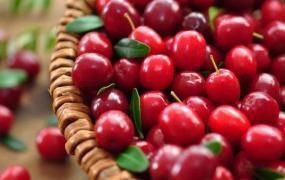 蔓越莓的5种功效与作用 既能清肠排毒又能美容养颜