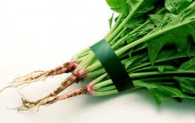 十种常见改善病症的菜根 丢弃的菜根也有食疗功效