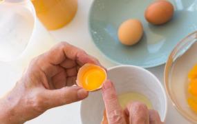 土鸡蛋未必就更有营养 关于土鸡蛋的真假辨别