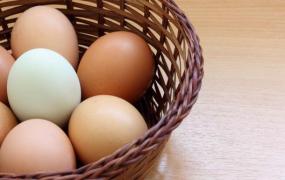 盘点关于鸡蛋的七大谣言 红壳比白壳的蛋营养并无差异