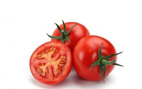吃番茄需要注意哪些禁忌
