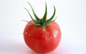 西红柿到底生吃好还是做菜好 西红柿的食用禁忌大全