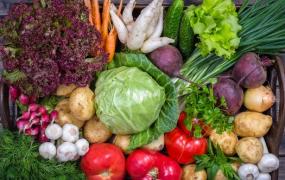 人一辈子平均吃7.5万顿饭 要健康深色蔬菜每天要过半