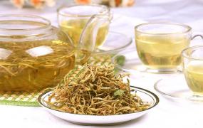 金银花茶的功效与作用，金银花养生茶配方