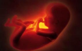 孕期关于胎儿头部的测量指标 胎儿头小的原因