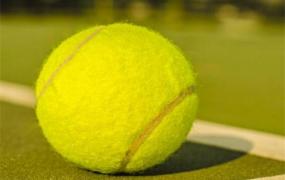 网球适用于初学者的握拍方式