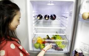 冰箱的清理方法和维护技巧