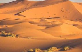 世界上最大的沙漠：撒哈拉沙漠，约906万平方千米