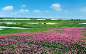 中国最大的淡水湖:鄱阳湖，约4070平方千米