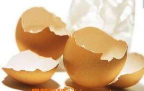 鸡蛋壳的妙用 鸡蛋壳的用途有哪些
