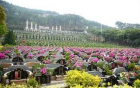 中国最贵的墓地 墓地价格比房价还贵(一块墓地抵一套房)