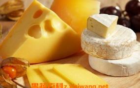 奶酪怎么吃 常见奶酪的吃法技巧