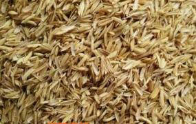 稻壳的营养价值 稻壳的用途