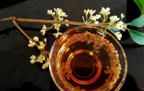桂花酒的功效与作用 桂花酒的制作方法