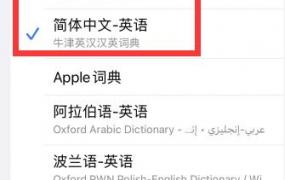 苹果手机屏幕识别自动翻译