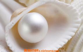 淡水珍珠和海水珍珠的区别