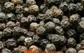 黑胡椒精油的功效与作用 黑胡椒精油的用途