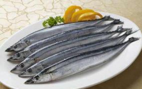 世界上最贵的食用鱼：黄唇鱼(一斤肉可达2.8万人民币)
