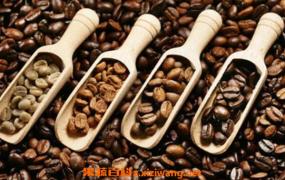 咖啡豆和咖啡粉的区别 咖啡豆怎么挑选
